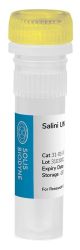 31-01-00100-5, Salini™ UNG Uracil-N-Glycosylase, 500 U