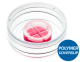 80466,  Culture-Insert 4 Well in µ-Dish 35 mm, high ibiTreat: ready-to-use, tissue culture treated, sterilized,  30 Pcs/box