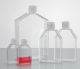 CC7682-4415, CytoOne T-150 Tissue Culture Flask