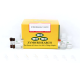 D5005,   EZ DNA Methylation-Gold™ Kit (50 Rxns)