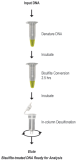 D5007,   EZ-96 DNA Methylation-Gold™ Kit (Shallow-Well) (2 x 96 Rxns)