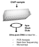 D5206,   ZR-96 ChIP DNA Clean & Concentrator™ (2x96 preps)