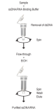 D7010,   ssDNA/RNA Clean & Concentrator™ Kit (20 Preps)