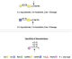 E0540S,  O-Glycosidase and Neuraminidase Bundle - 20 reactions