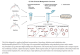 E0552S,  Q5 Site-Directed Mutagenesis Kit (Without Competent Cells) - 10 rxns