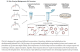 E0554S,  Q5 Site-Directed Mutagenesis Kit - 10 rxns