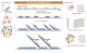 E1604L, phi29-XT WGA Kit - 100 rxns