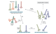 E8111L,  Ph.D.-12 Phage Display Peptide Library, 500 µl - 50 Panning Experiments