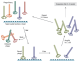 E8212S, Ph.D.-C7C Phage Display Peptide Library Kit v2 - 10 Panning Experiments