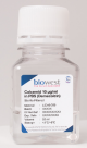 L0040-050, Colcemid 10 µg/ml in PBS (Demecolcin) - 50ml