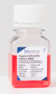L0932-100, Trypsin 0.25% - EDTA 0.02% in HBSS w/o Calcium w/o Magnesium w/ Phenol Red - 100ml