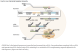 M0386S,  Cas9 Nuclease, S. pyogenes - 70 pmol