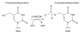 M0659S,  5-hydroxymethyluridine DNA Kinase - 1.000 units