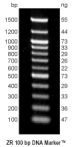 M5002-200,   ZR 100 bp DNA Marker™ (200 ug / 400 ul)