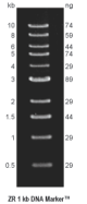 M5003-200,   ZR 1 kb DNA Marker™ (200 ug / 400 ul)