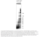 N0460S,  Acyclonucleotide Set - 0,5 µmol of each