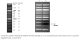 N0551S,  Quick-Load Purple 100 bp DNA Ladder - 125 gel lanes