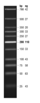 N0557S,  Quick-Load Purple Low Molecular Weight DNA Ladder - 125 gel lanes