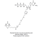 N0760S,  3’-Biotin-GTP - 0,5 µmol