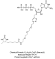 N0761S,  3'-Desthiobiotin-GTP - 0,5 µmol