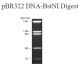 N3031L,  pBR322/BstN I Digest - 250 µg