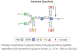 P0707L,  PNGase A - 750 units