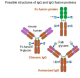 P0710S,  Rapid PNGase F - 50 reactions