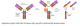 P0770S,  IdeZ Protease (IgG-specific) - 4000 Units