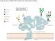 P6044S,  Protein Deglycosylation Mix II - 20 rxns