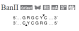 R0119S,  BanII, recombinant - 2.000 units