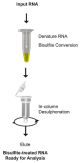 R5001-1-1,   RNA Conversion Reagent (1 tube) (1.5 ml)