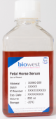 S0960-100, Fetal Horse Serum - 100ml