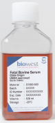 S156H-050, Fetal Bovine Serum (Chile. USDA approved). Heat Inactivated - 50ml