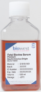 S181B-050, Fetal Bovine Serum (South America). Premium - 50ml