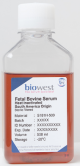 S181H-050, Fetal Bovine Serum (South America). Heat Inactivated - 50ml