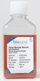 S181I-500, Fetal Bovine Serum (South America). low IgG - 500ml