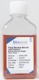 S181L-050, Fetal Bovine Serum (South America). Lipid Depleted - 50ml