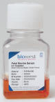 S181M-025, Fetal Bovine Serum (South America). E.V Depleted - 25ml