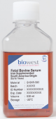 S181R-050, Fetal Bovine Serum (South America). Iron Supplemented - 50ml