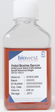 S181S-050, Fetal Bovine Serum (South America). Embryonic Stem Cells tested - 50ml