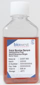 S181T-050, Fetal Bovine Serum (South America). Tetracycline free - 50ml