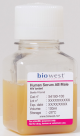 S4190-100, Human Serum AB male HIV tested - 100ml
