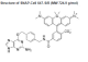 S9102S,  SNAP-Cell 647SiR - 30 nmol