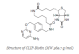 S9221S,  CLIP-Biotin - 50 nmol