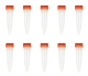 T3017,   Mix & Go! Competent Cells-TG1 (10 x 100 ul)
