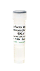 Y1004-500,   a-Factor Mating Pheromone (A-Factor), 500 µl